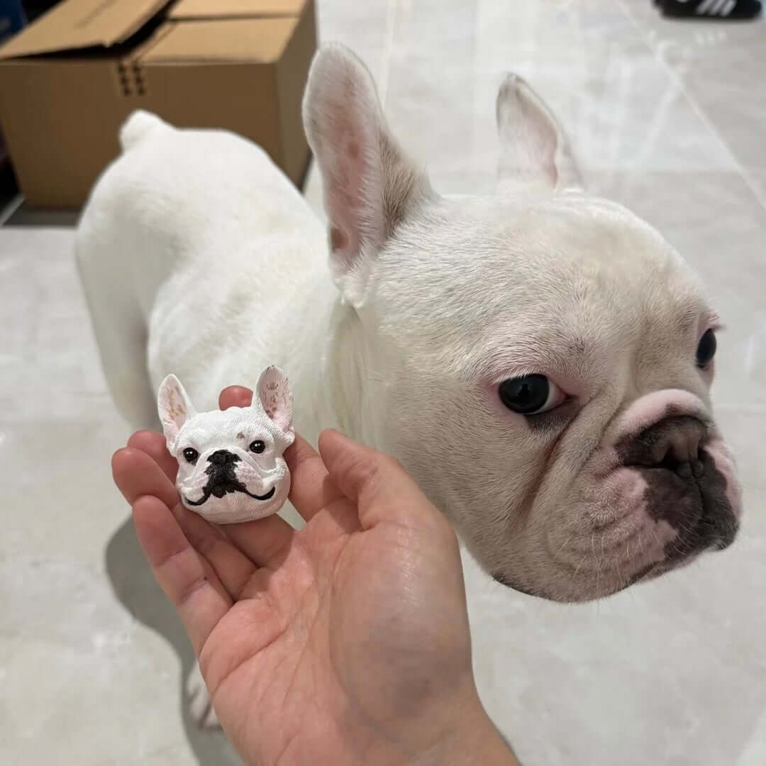Custom-engraved Magnet Pet Head Model
