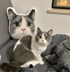 Custom Personalized Pet 3D Pillow