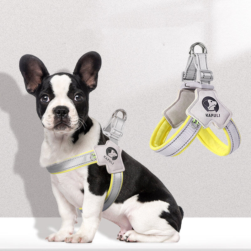 Pet Harness Y-Shaped Harness For Dogs & Cats
