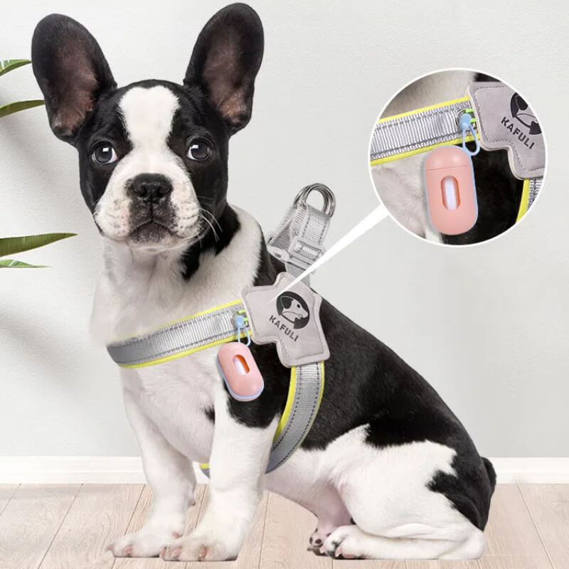 Pet Harness Y-Shaped Harness For Dogs & Cats