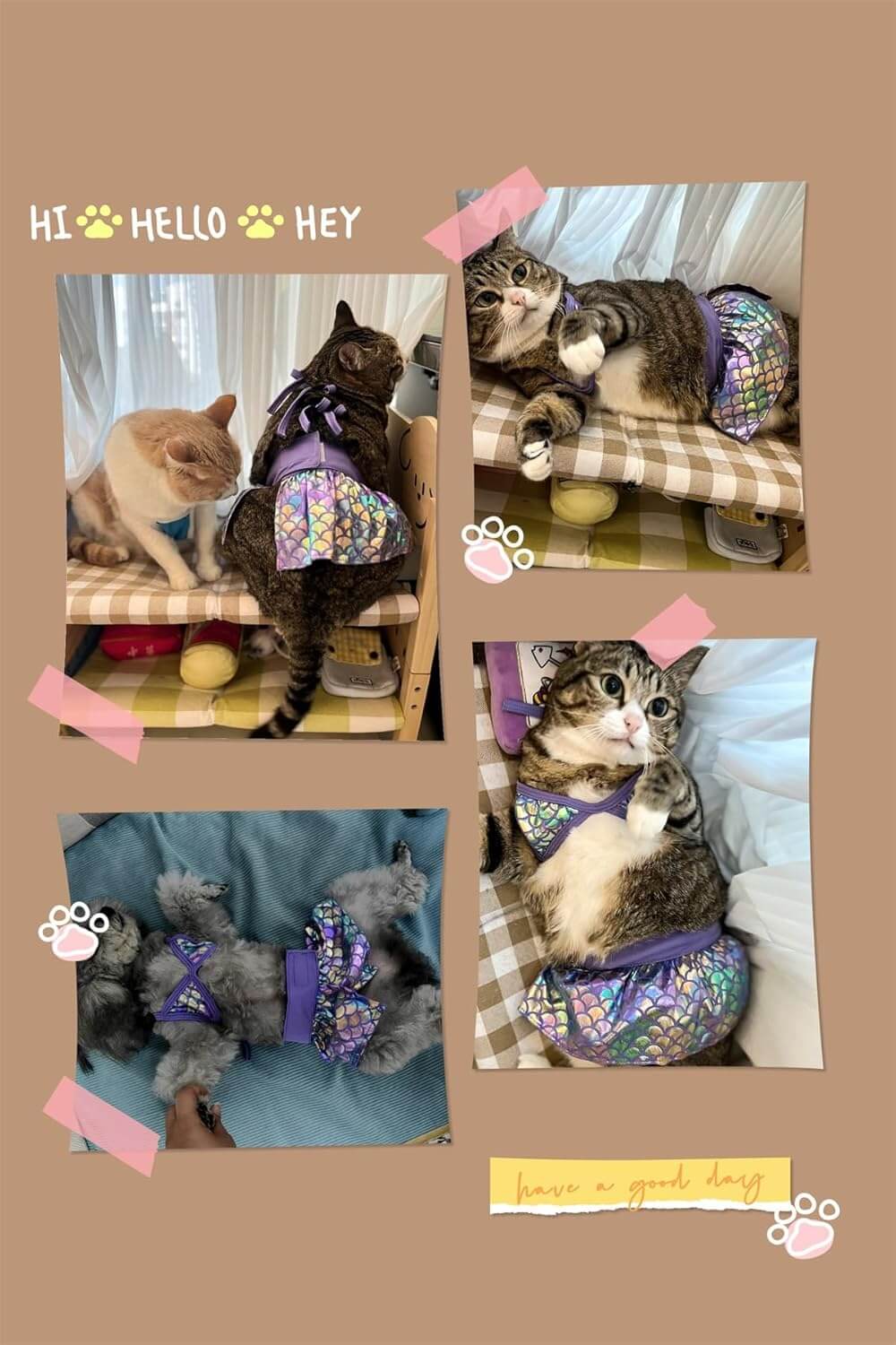 Pet bikini swimsuit
