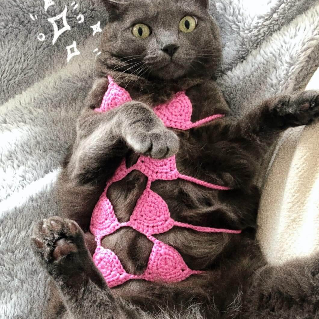 Pet Bikini Costumes Clothes for dog cat