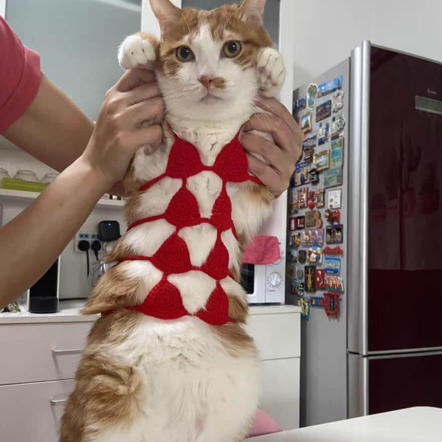 Pet Bikini Costumes Clothes for dog cat