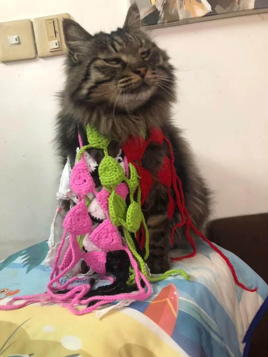 Pet Bikini Costumes Clothes for dog cat
