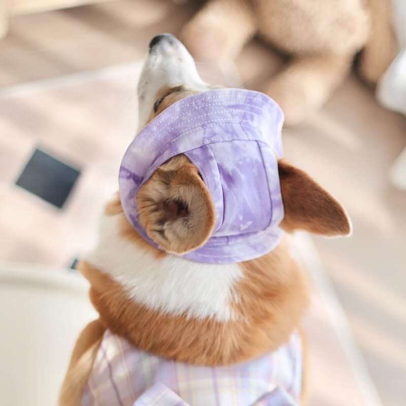 Pet Hat with Ear Holes Sunscreen Baseball Cap for Medium Small Dogs & Cats