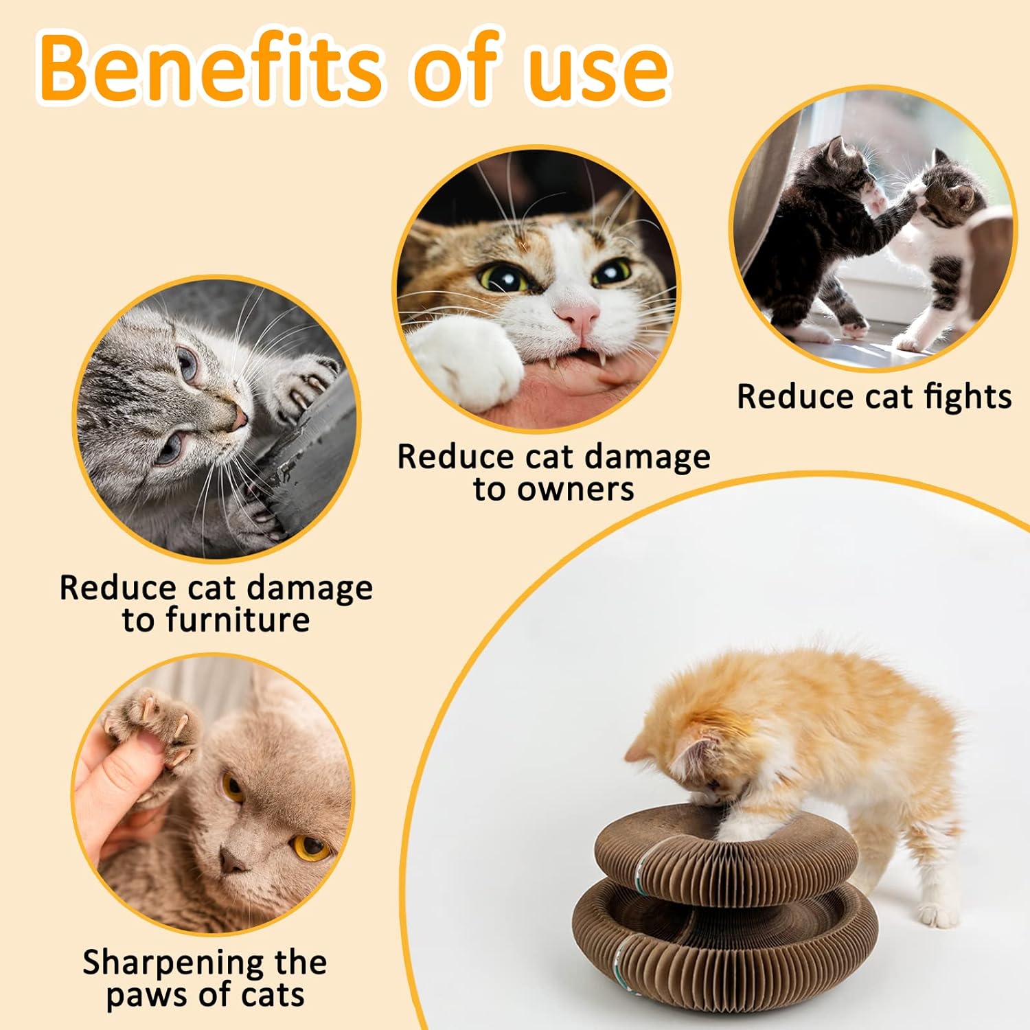 Magic Organ Cat Scratcher Board Cat Interactive Ball Kitten Toys