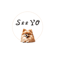 SeeYo.Studio