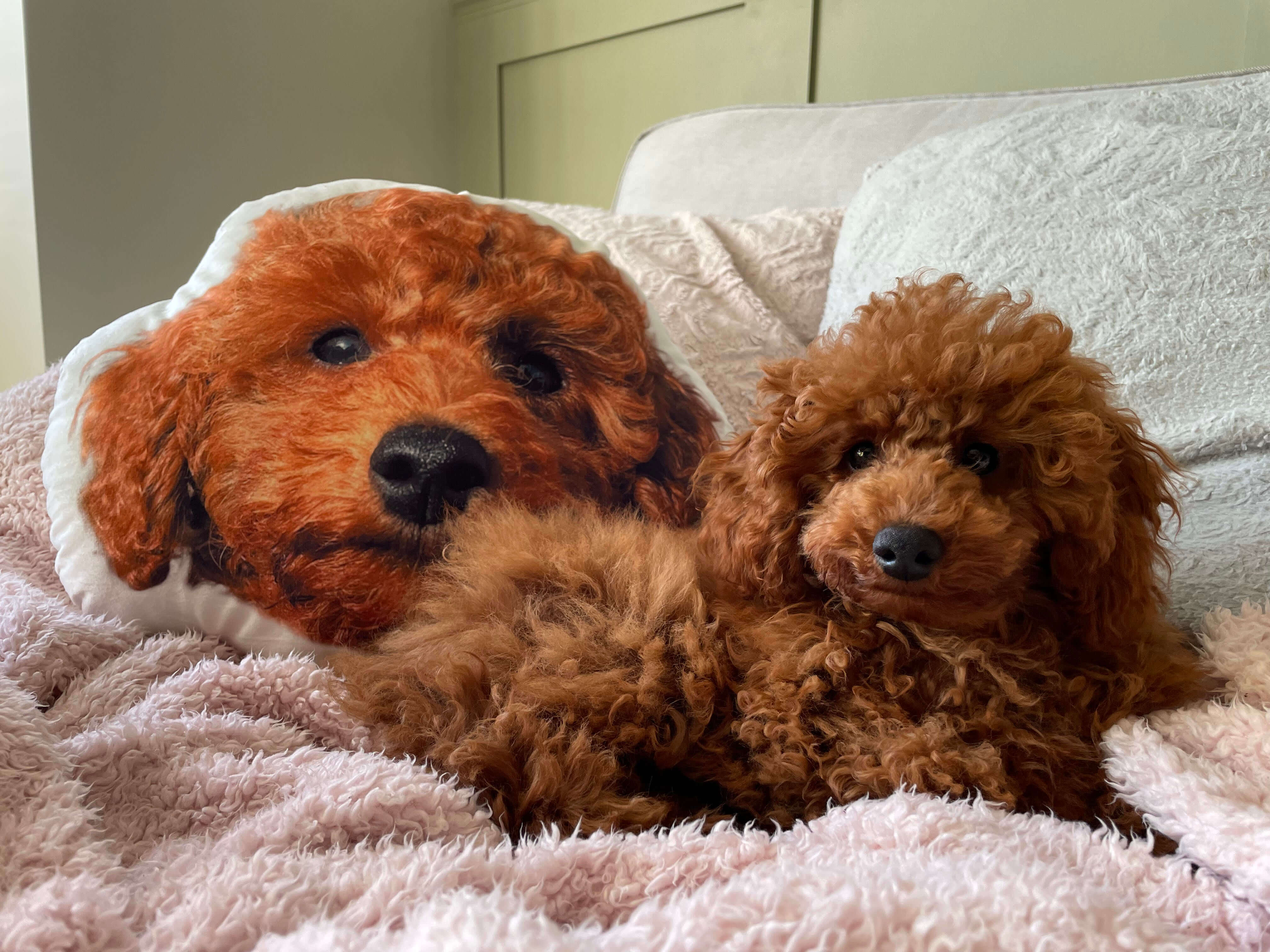 Custom Personalized Pet 3D Pillow