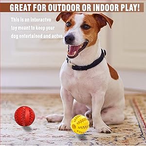 2 Pack Dog Toy Ball, Pet Feeder Chew Teething Toys Balls for Dog and Puppy Cat