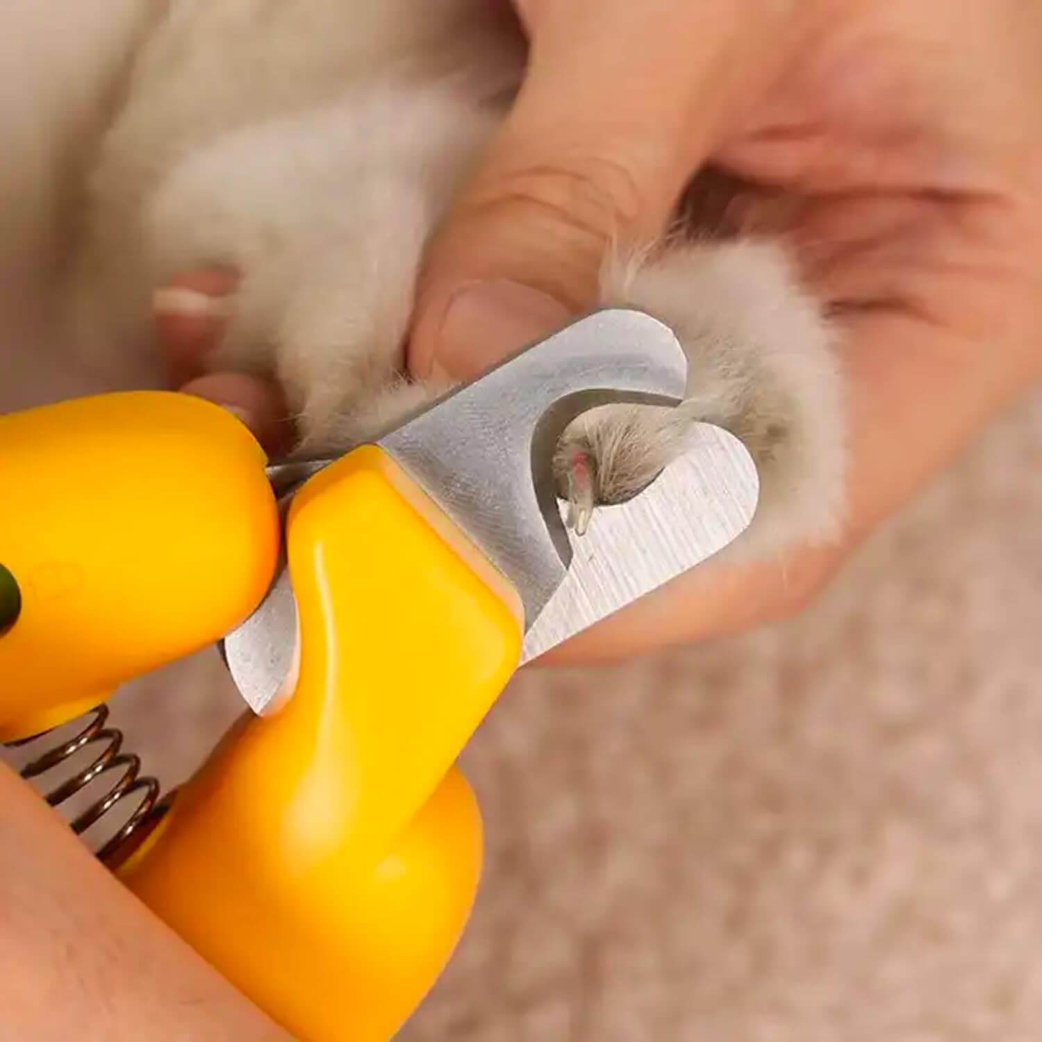 Pet Nail Clippers for Dog&Cat Razor Sharp Blades with Bright Safety Lights