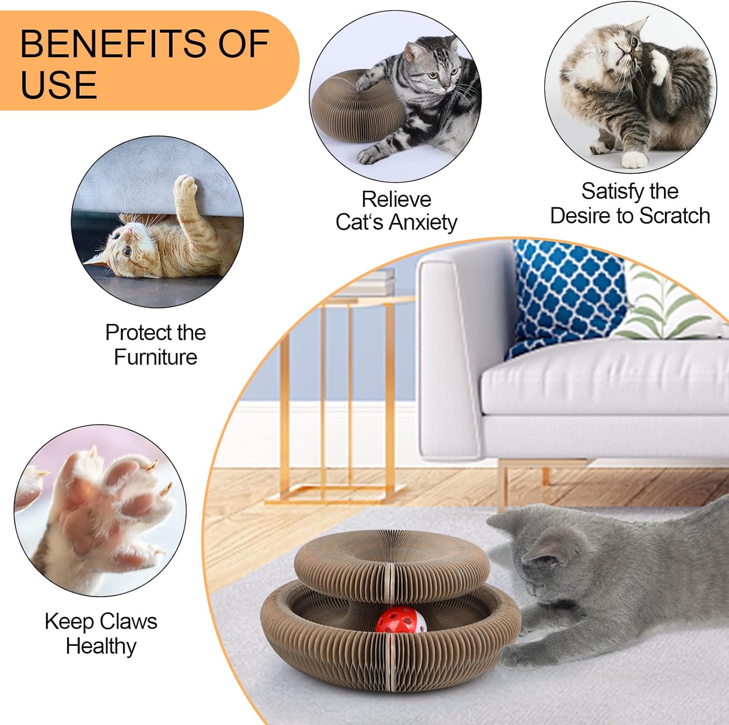 Magic Organ Cat Scratcher Board Cat Interactive Ball Kitten Toys