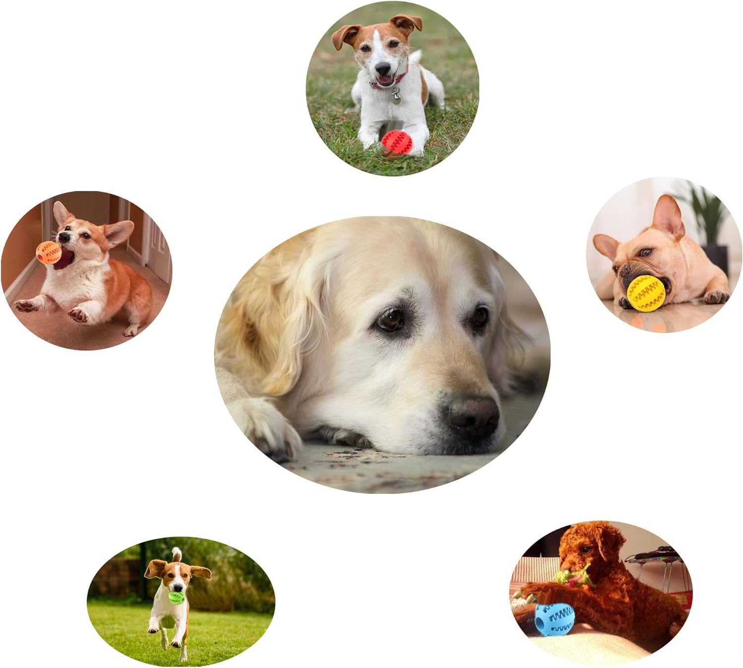 2 Pack Dog Toy Ball, Pet Feeder Chew Teething Toys Balls for Dog and Puppy Cat