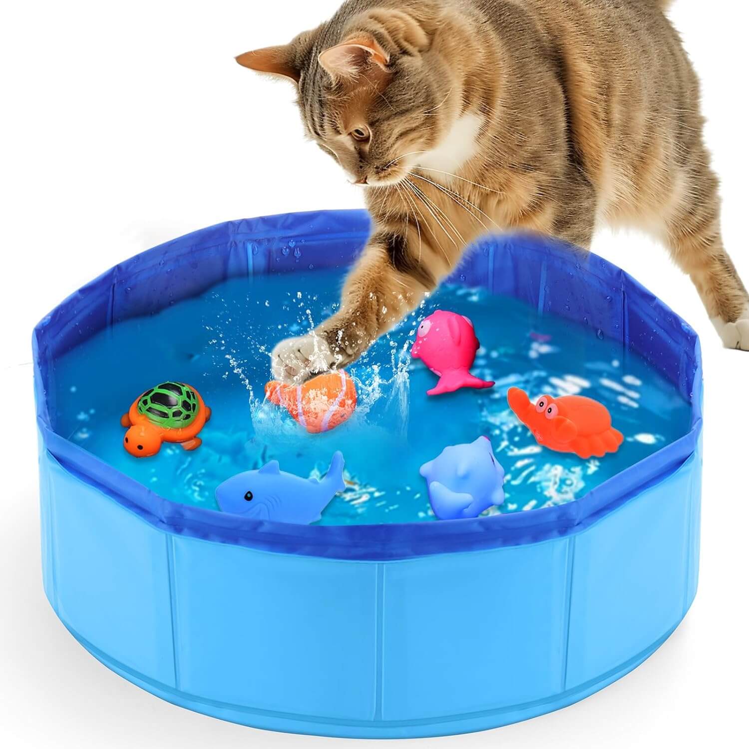 Interactive Cat Kitty Summer Toys