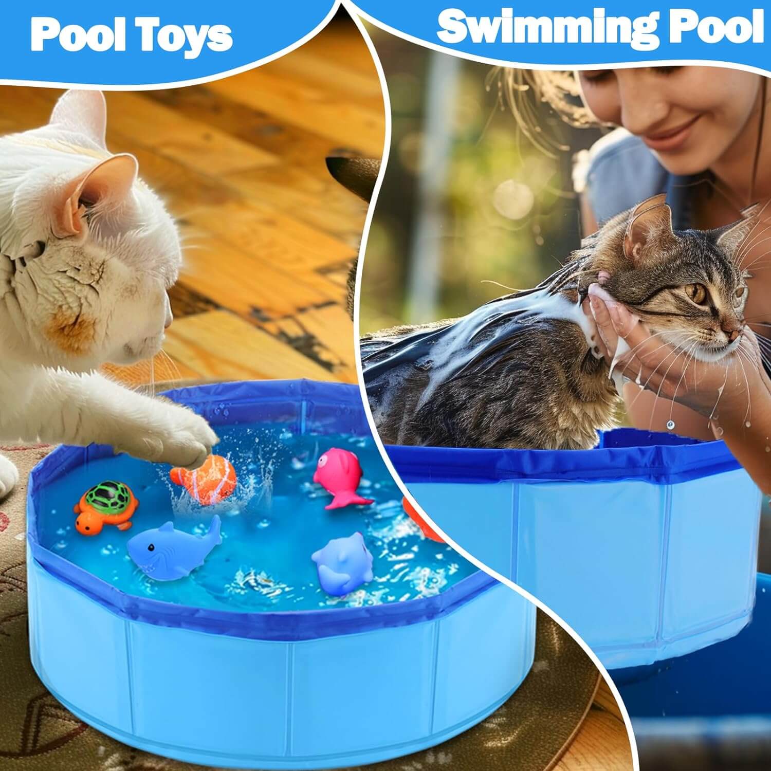 Interactive Cat Kitty Summer Toys