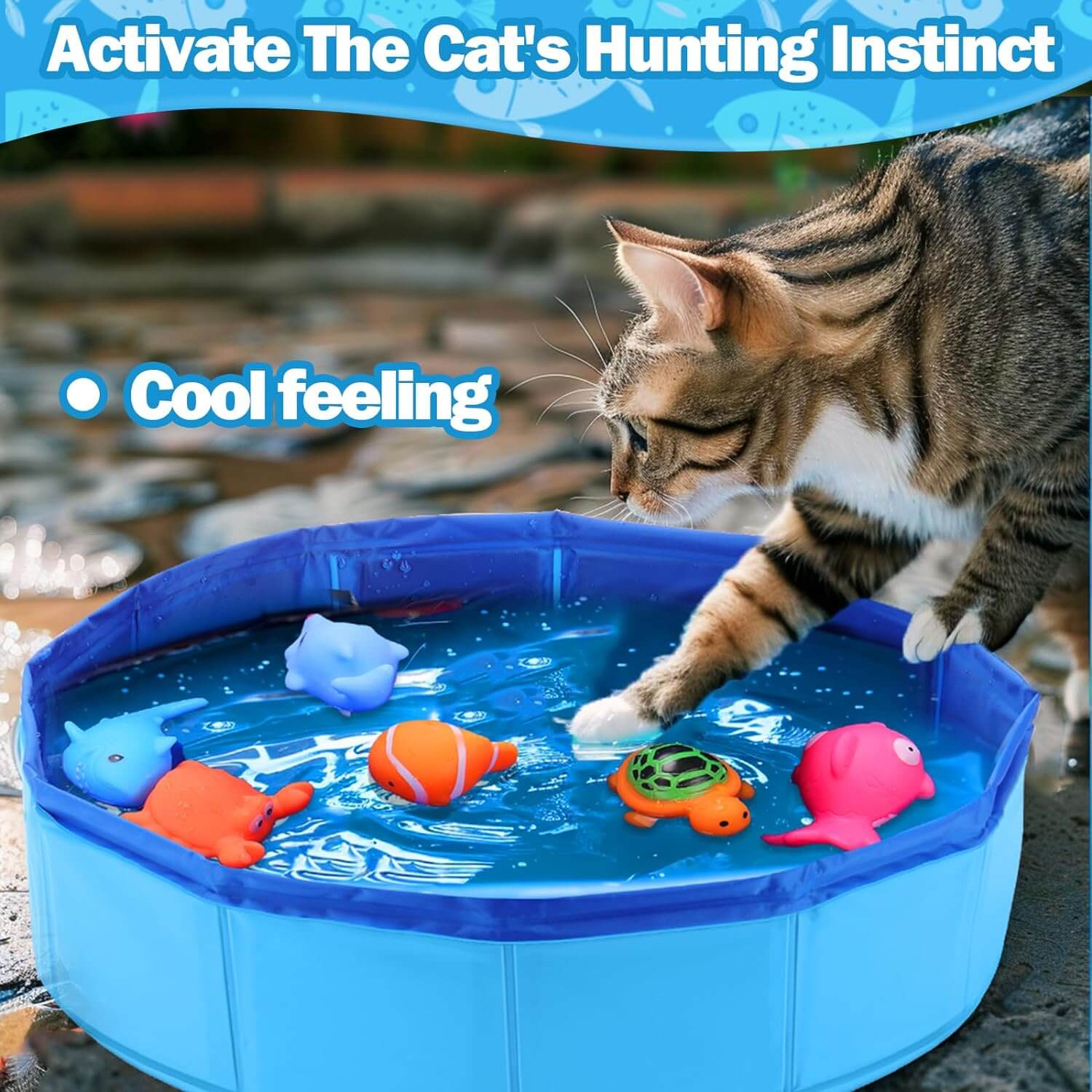 Interactive Cat Kitty Summer Toys