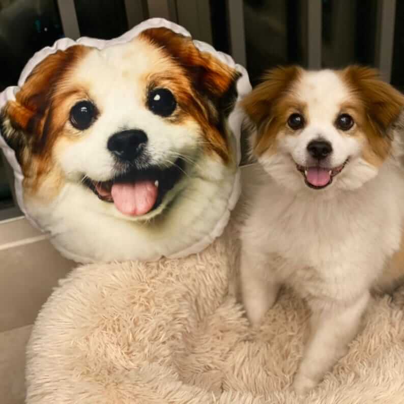 Custom Personalized Pet 3D Pillow