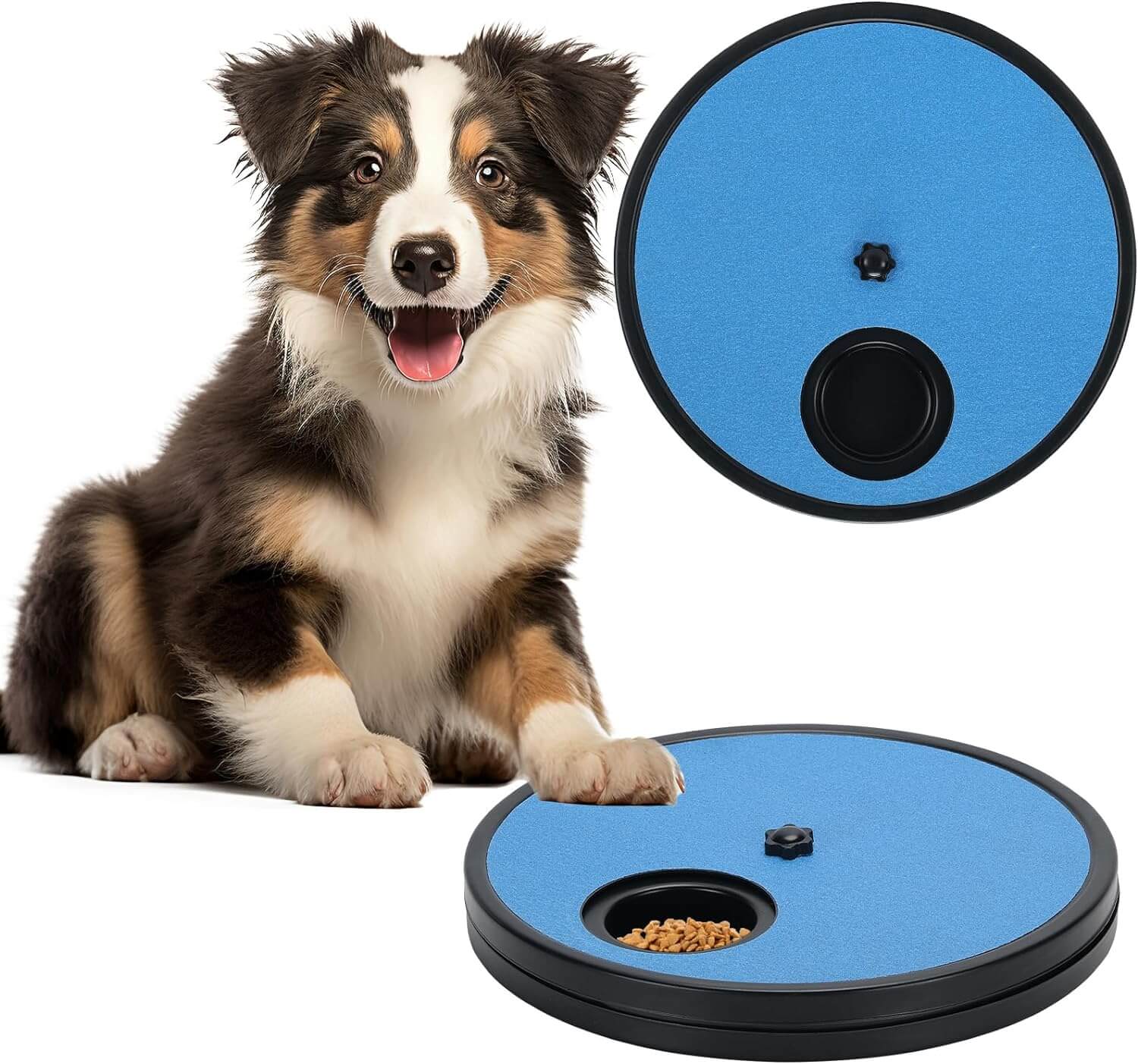 Dog Scratch Toy