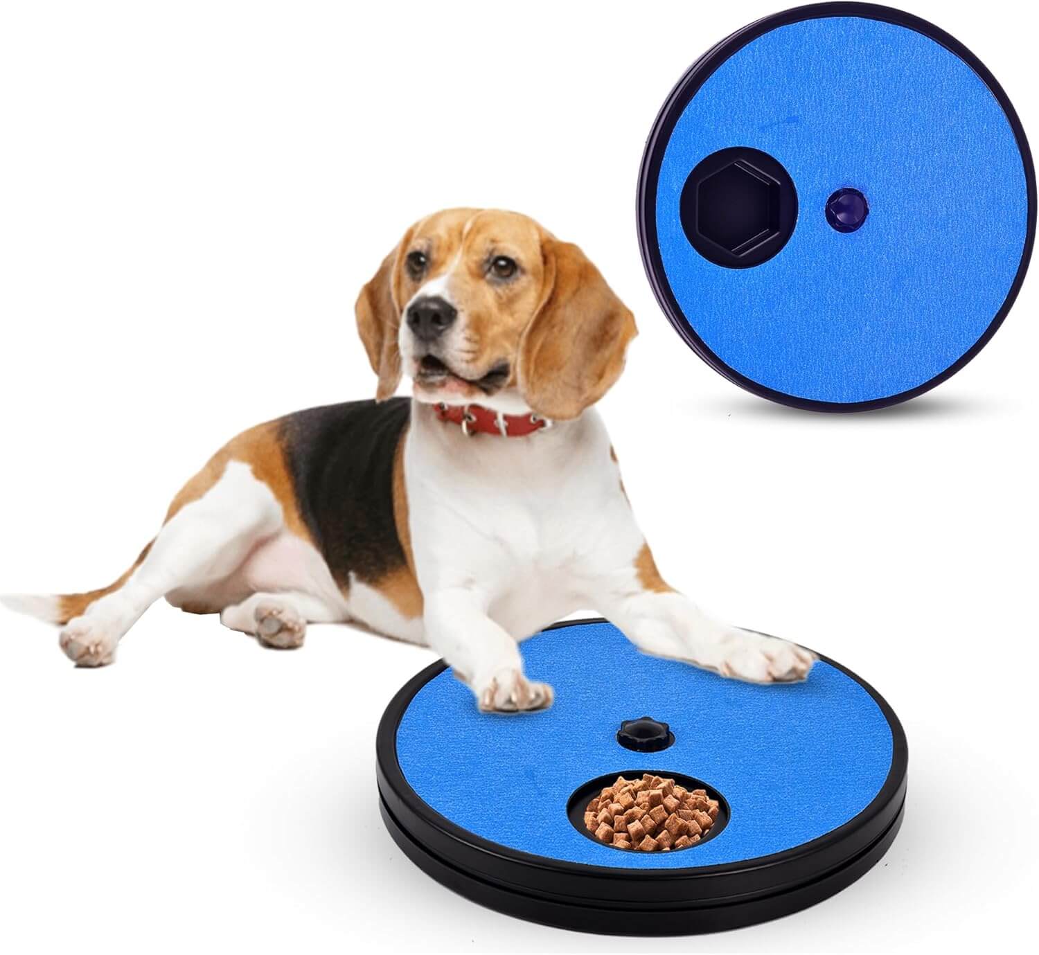 Dog Scratch Toy