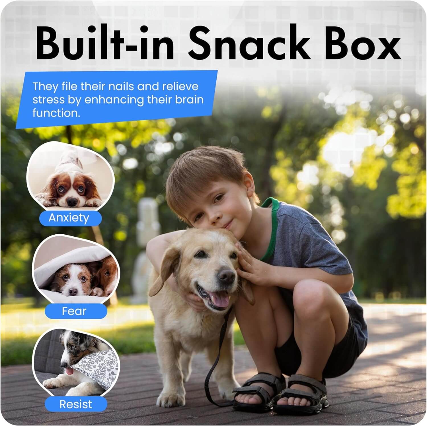 Dog Scratch Toy