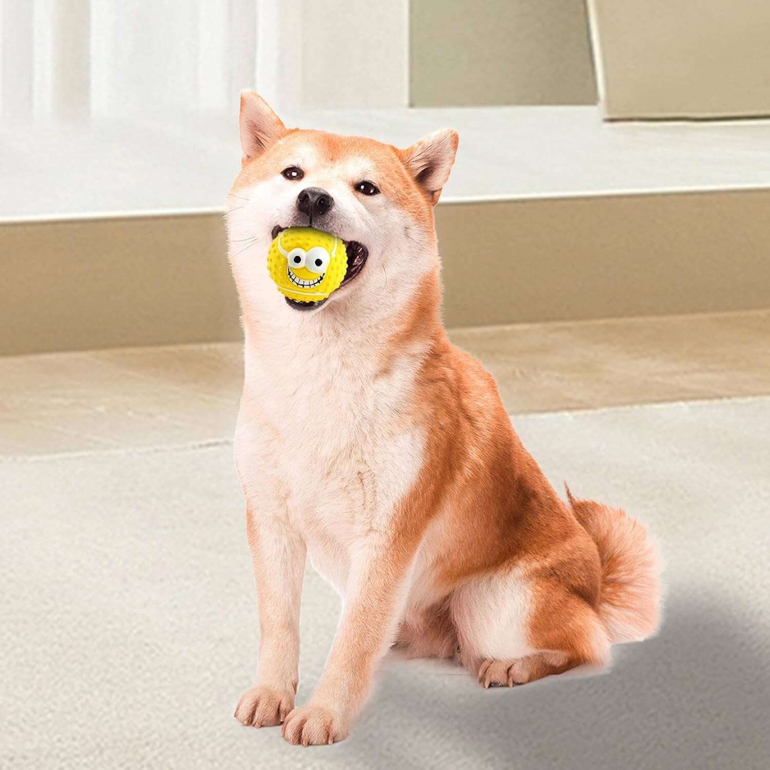 Dog Toys Face Balls Pet Squeaky Chewing Dog balls toys For Small Medium Dogs