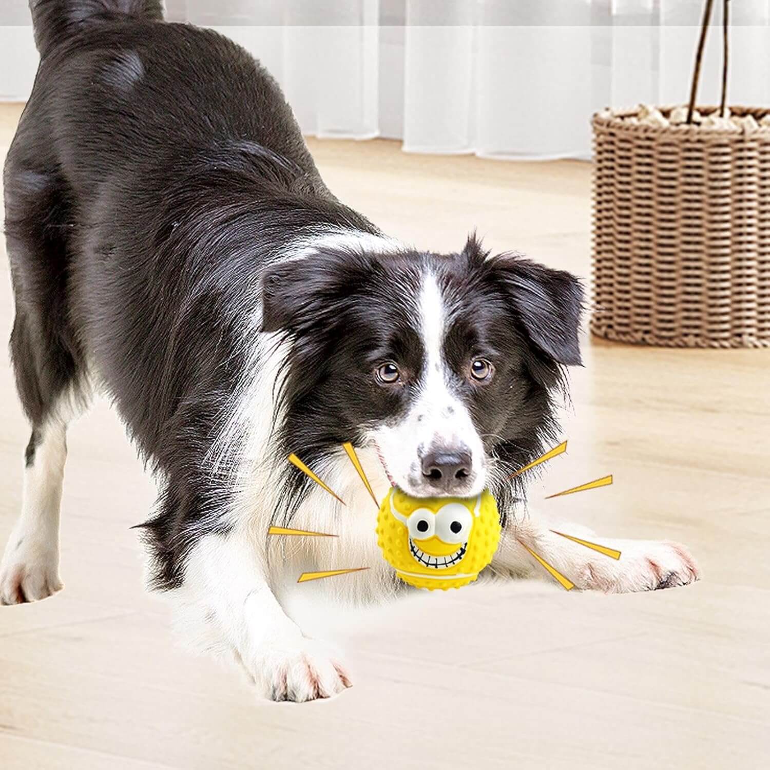 Dog Toys Face Balls Pet Squeaky Chewing Dog balls toys For Small Medium Dogs