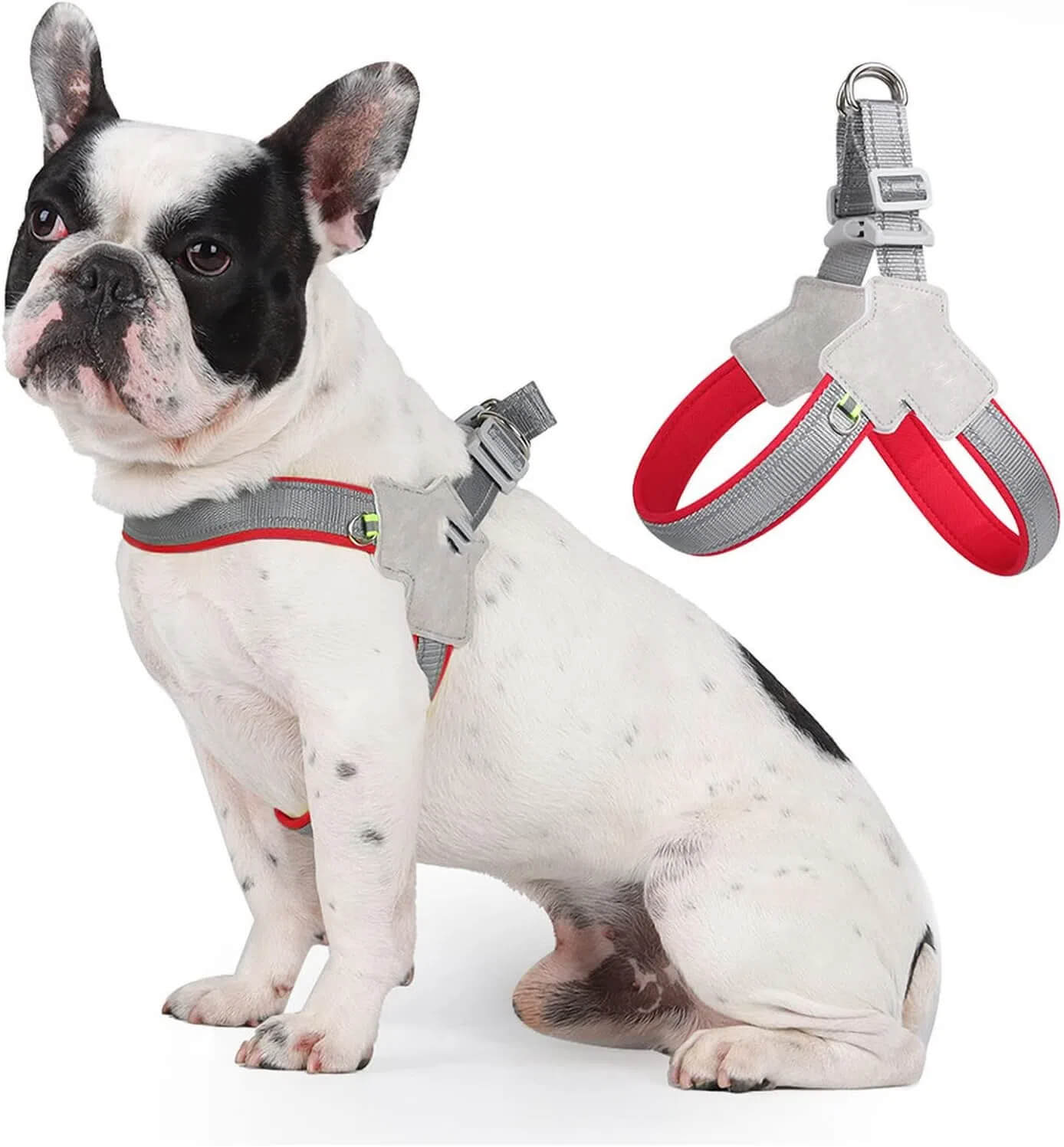 Pet Harness Y-Shaped Harness For Dogs & Cats