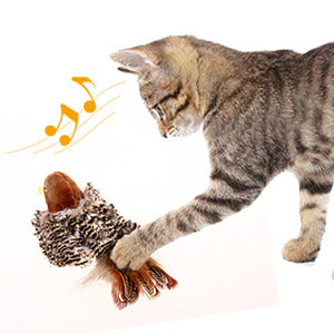 Cat toy