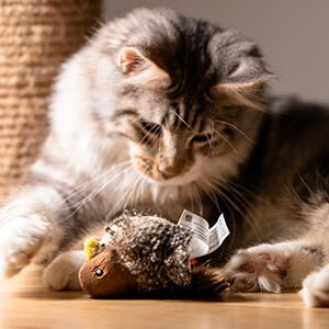 CAT BIRD TOY