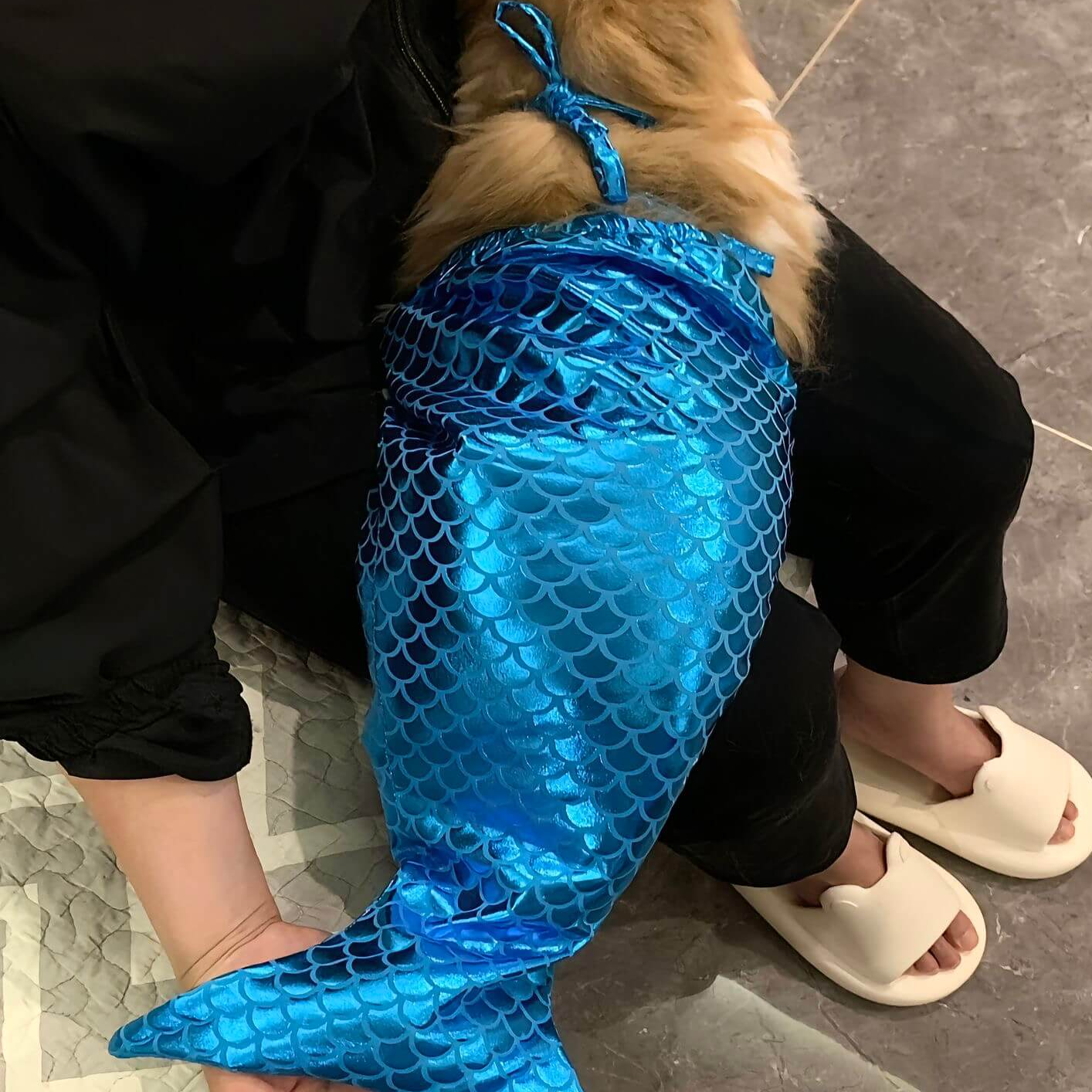 Mermaid Cat Costume Funny Photo Prop Clothes for Pet Clothes