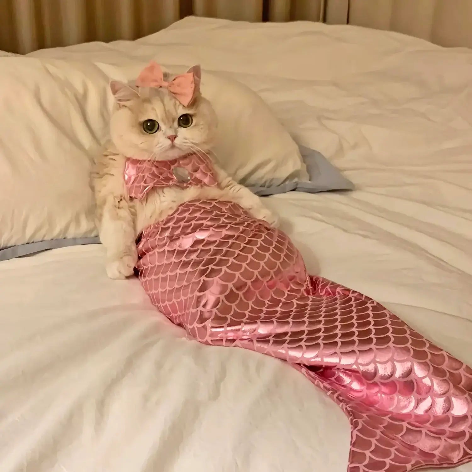 Mermaid Cat Costume Funny Photo Prop Clothes for Pet Clothes