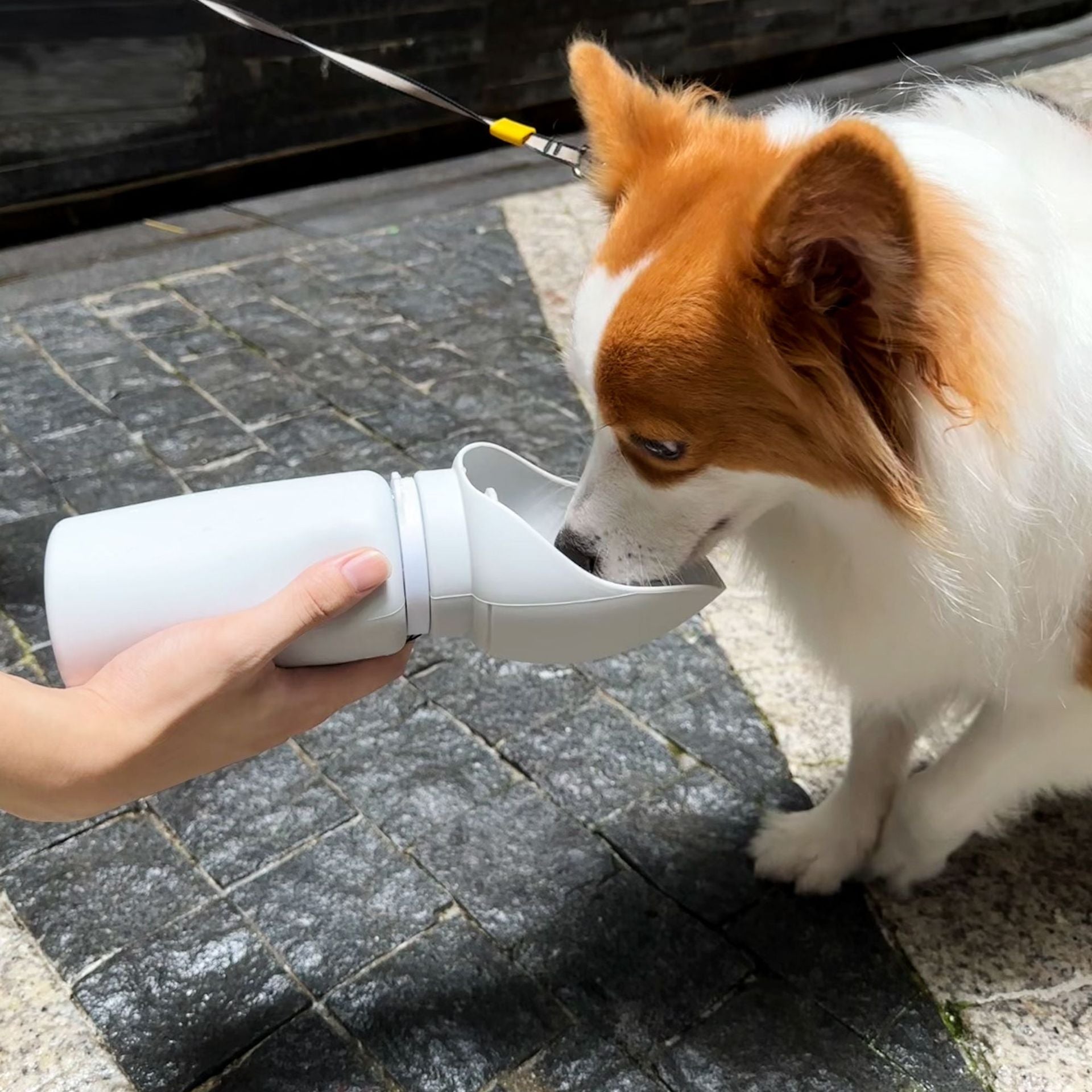 Silicone Dog Water Bottle, Pet Travel Water Bottle Foldable Leak Proof Cup