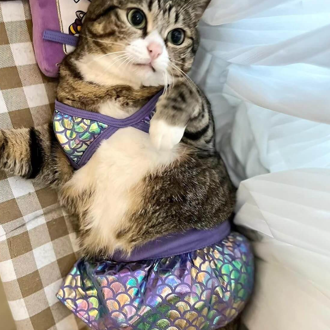 Pet Bikini  Swimsuit  Clothes for Dog Cat