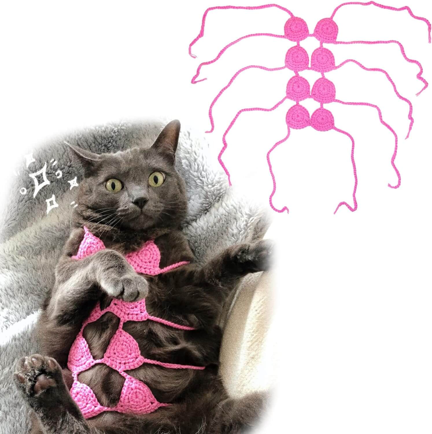 Pet Bikini Costumes Clothes for dog cat