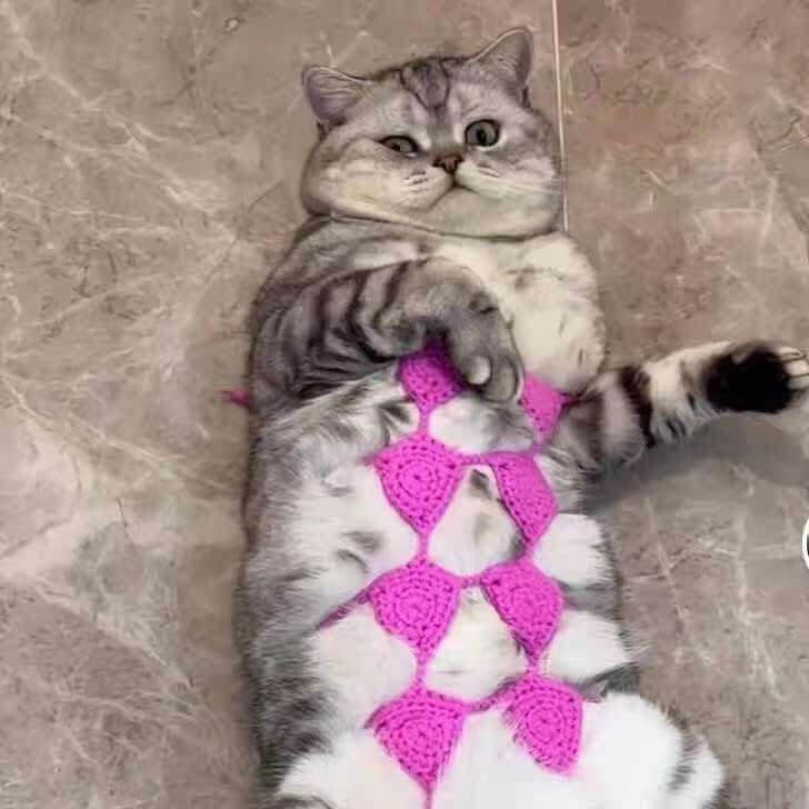 Pet Bikini Costumes Clothes for dog cat