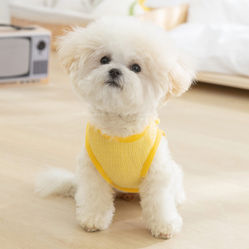 Dog Clothes Harness Leash for Small Dogs Cats