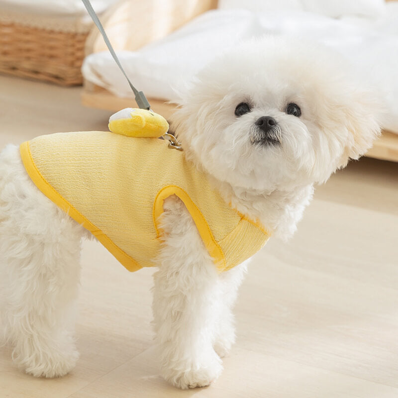 Dog Clothes Harness Leash for Small Dogs Cats