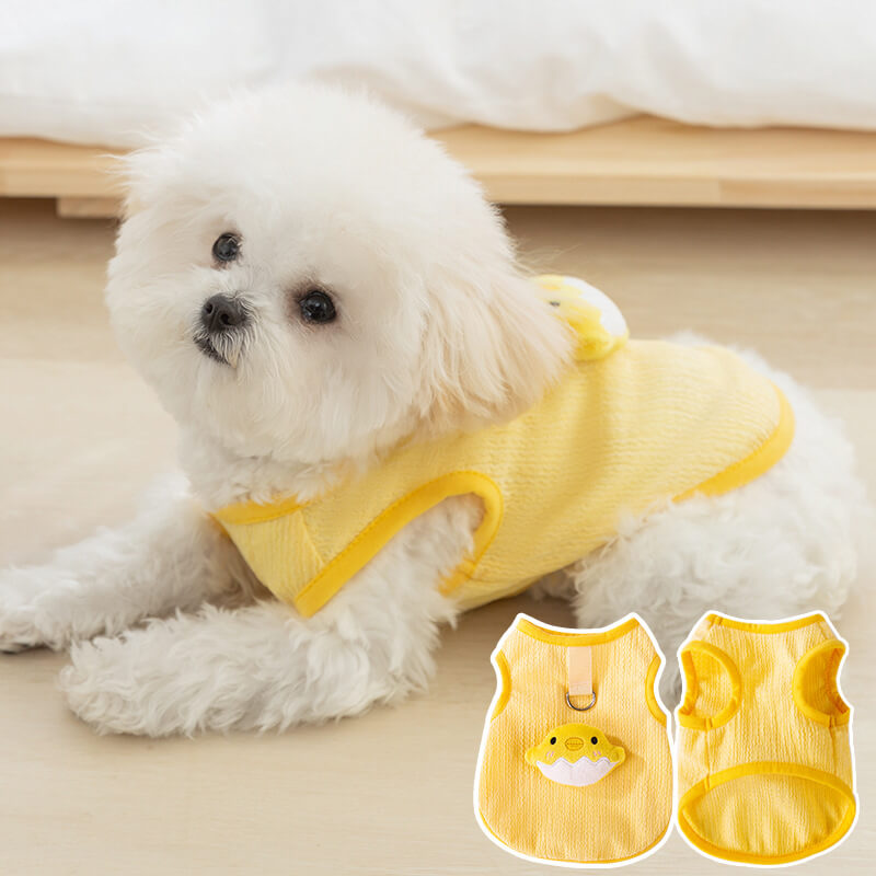 Dog Clothes Harness Leash for Small Dogs Cats