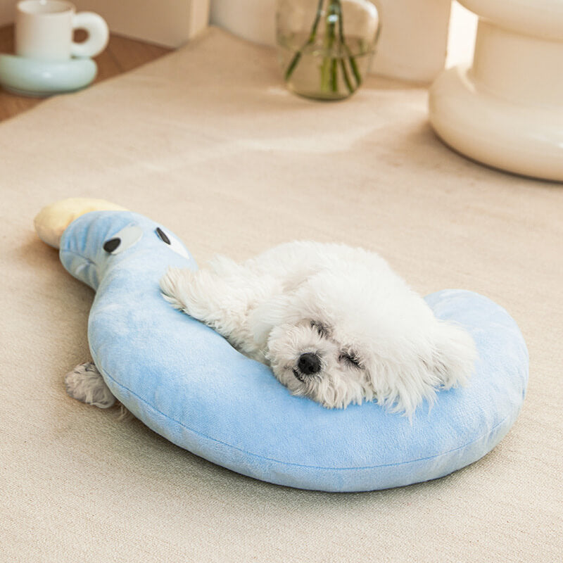 Little Pillow Bed for Cats & Dogs
