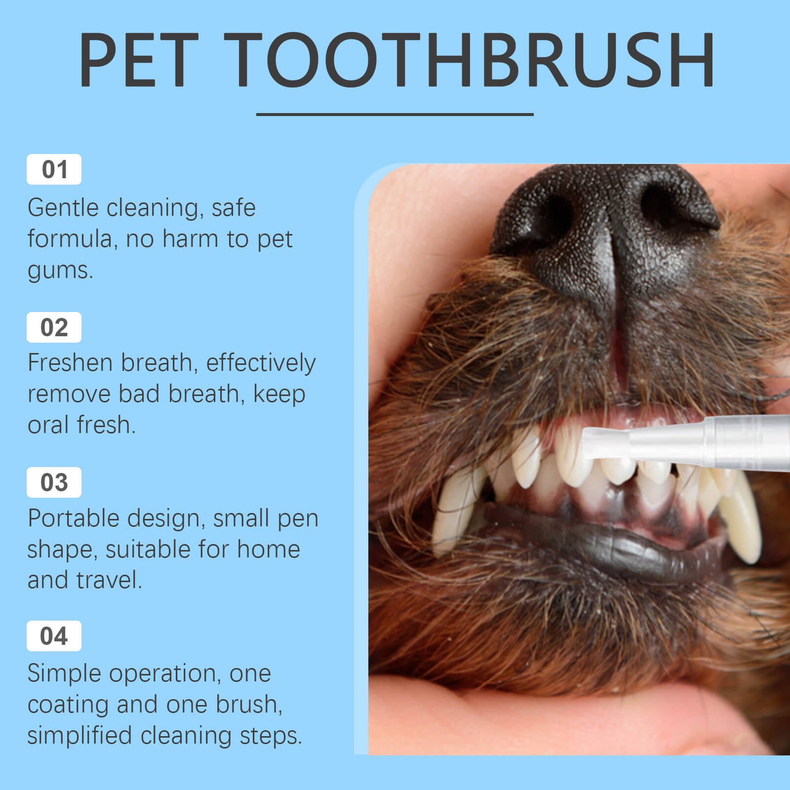 Pet Toothbrush Pen