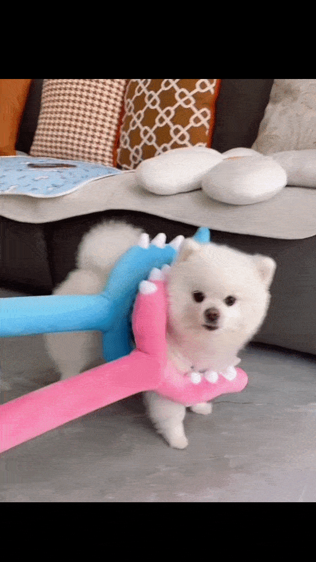 Pet Plush Toy for Cats & Dogs