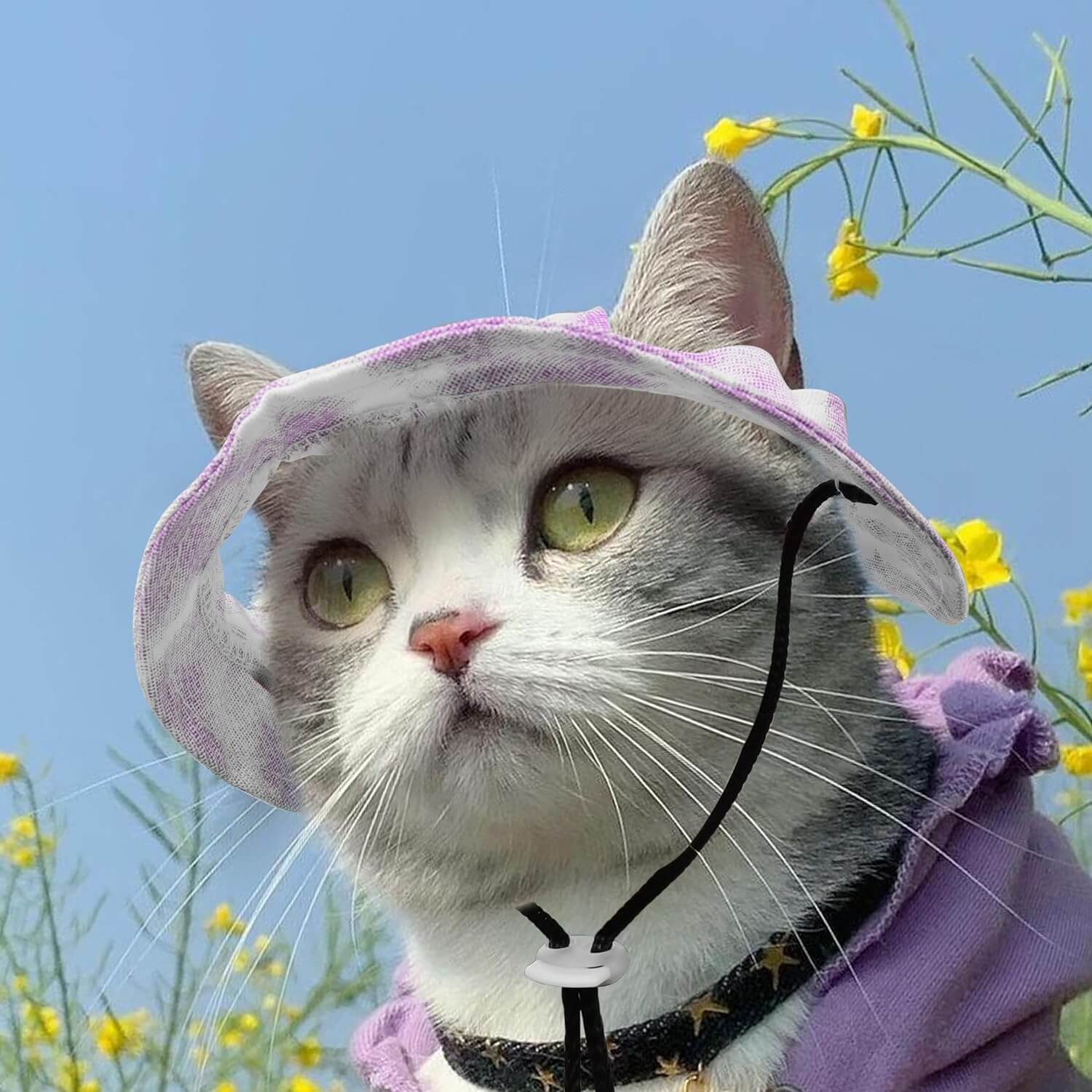 Pet Hat with Ear Holes Sunscreen Baseball Cap for Medium Small Dogs & Cats