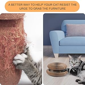 Magic Organ Cat Scratcher Board Cat Interactive Ball Kitten Toys