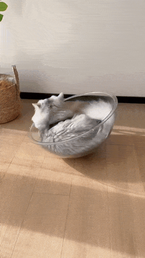 Space Capsule Cat Bed House