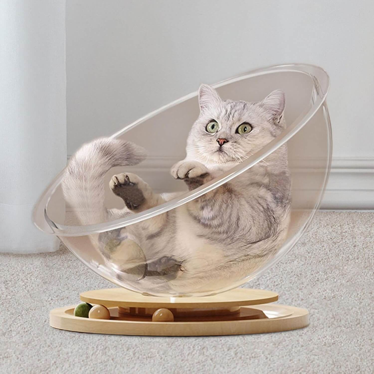 Space Capsule Cat Bed House
