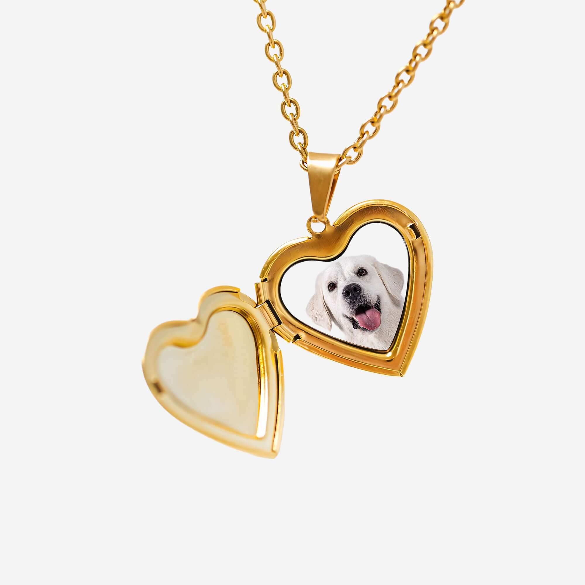 Custom Pet Locket Heart Necklace
