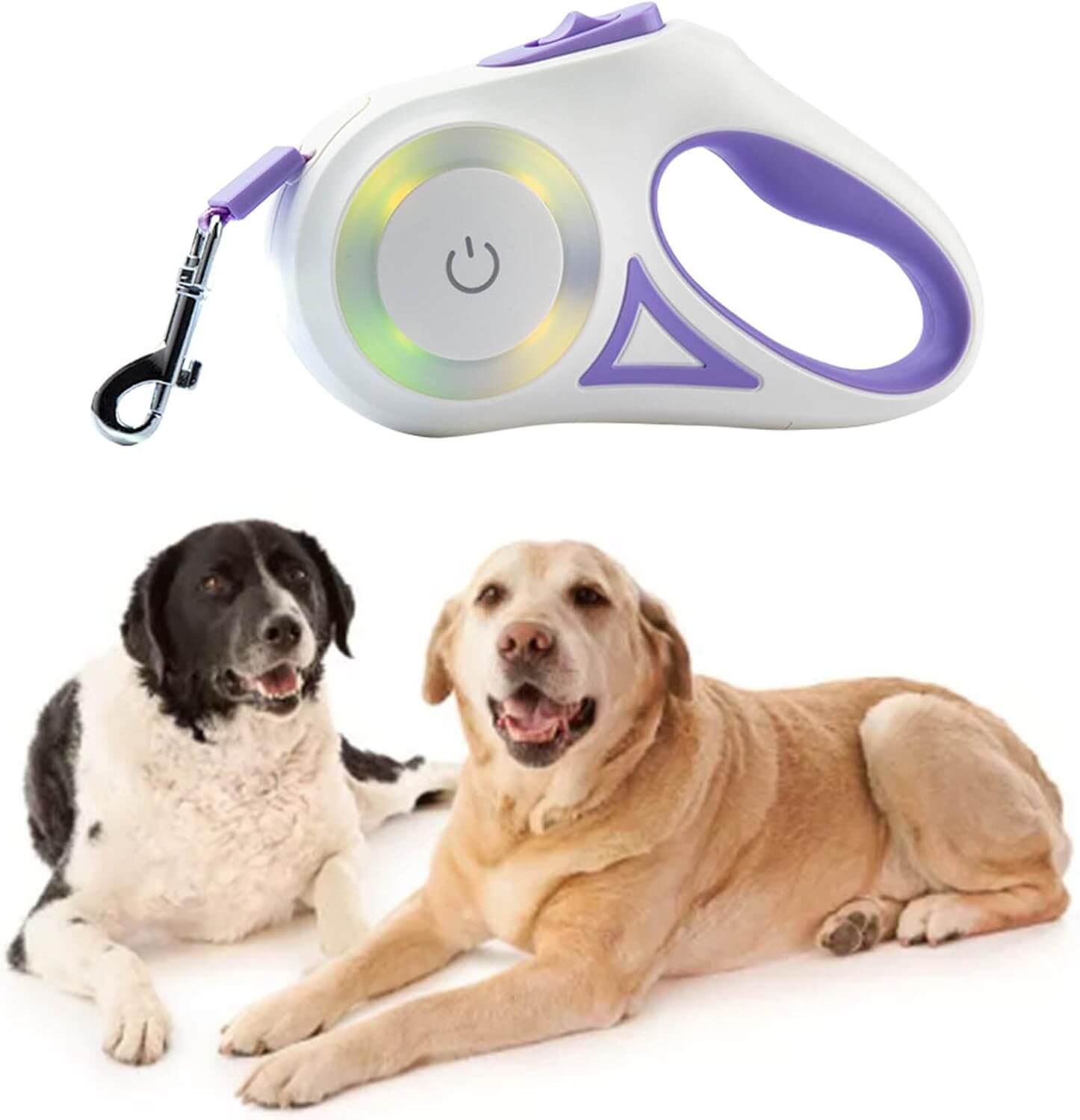 Dog Leash with LED Light
