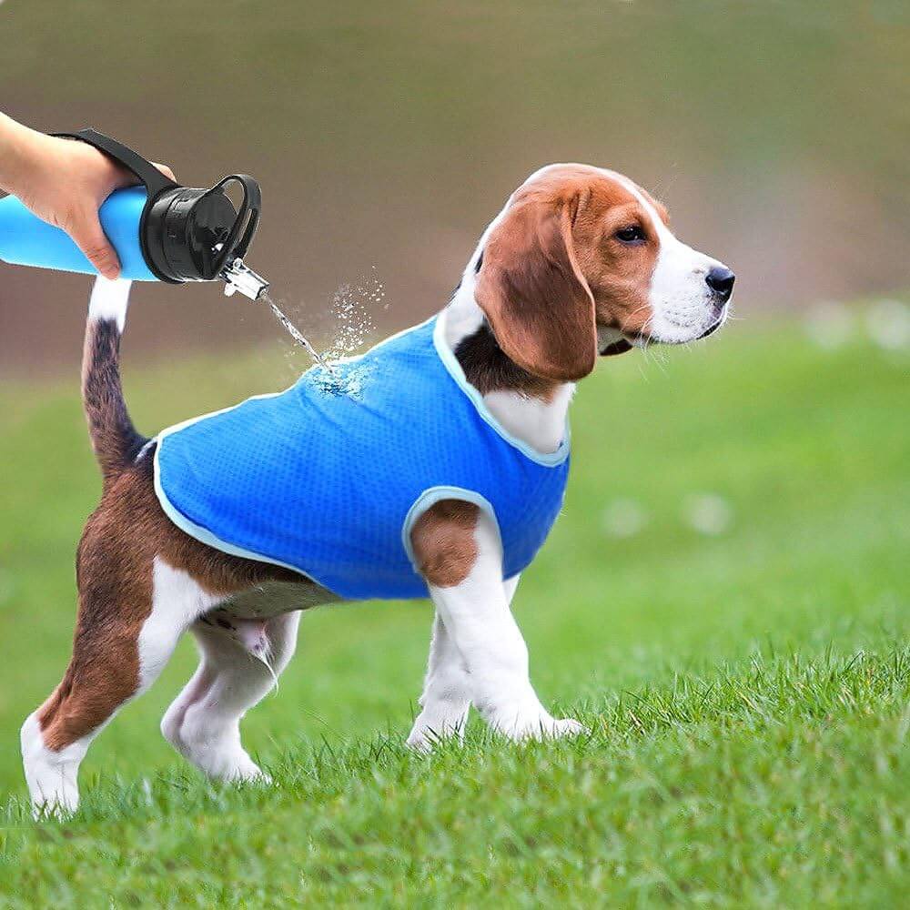 Dog Cat Cooling Vest Harness Clothes