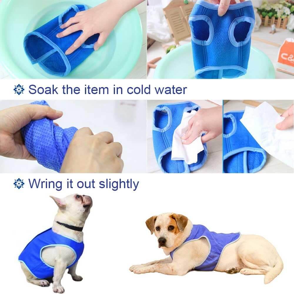 Dog Cat Cooling Vest Harness Clothes