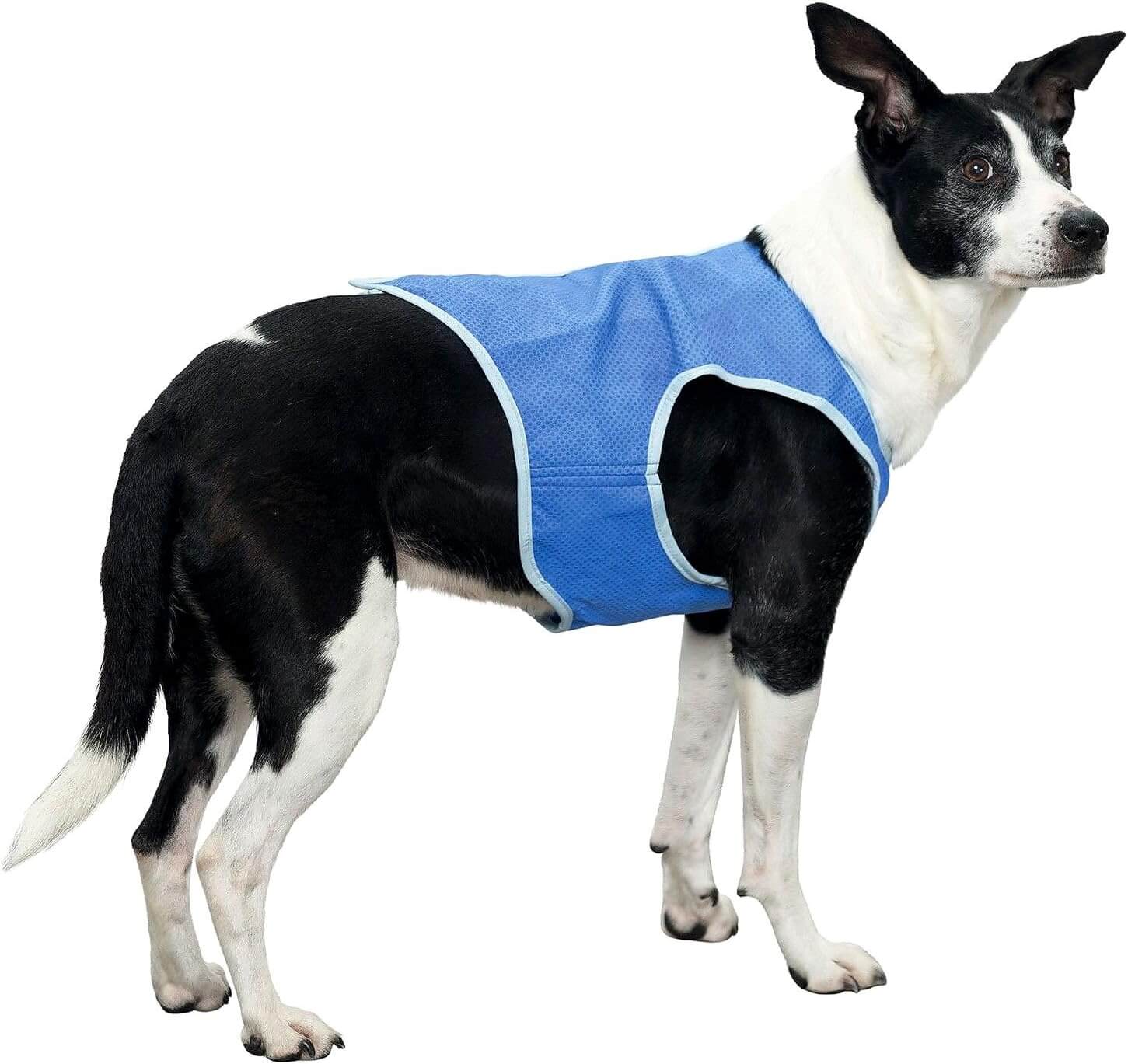 Dog Cat Cooling Vest Harness Clothes
