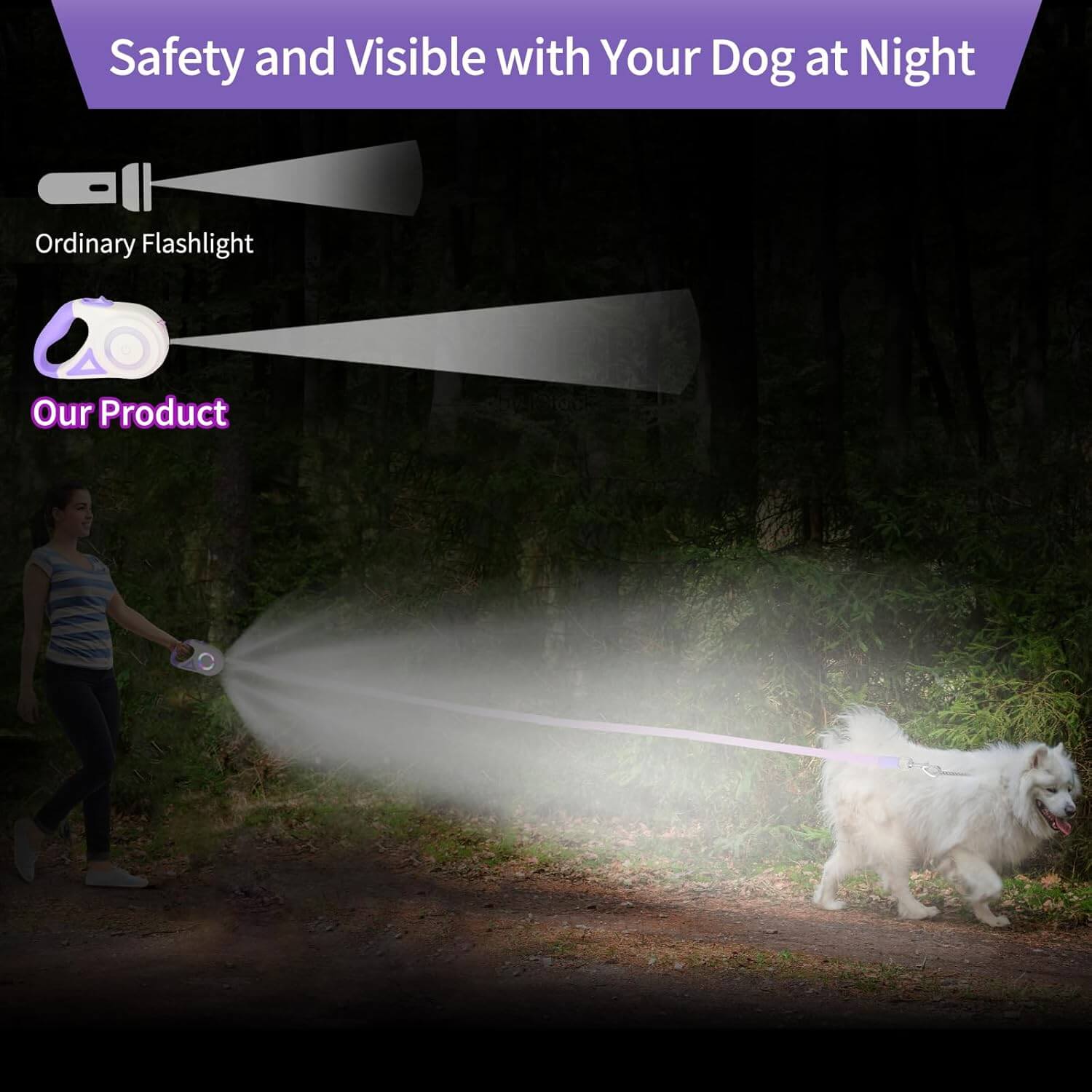 Dog Leash with LED Light